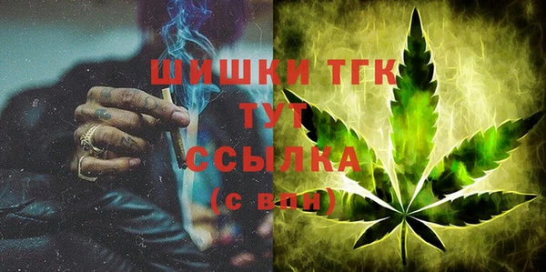 mix Богородицк