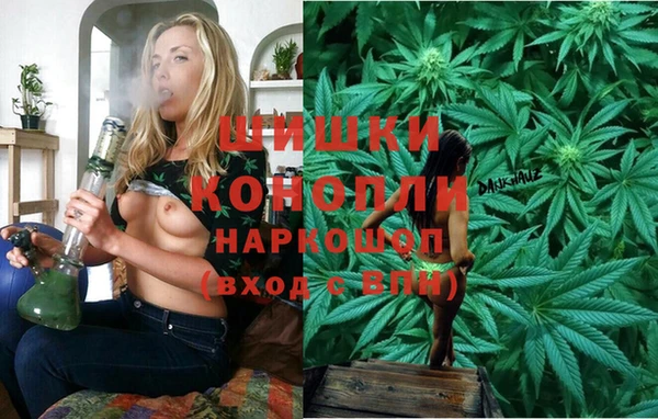 гидропоника Рославль