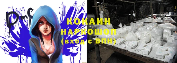 mix Богородицк