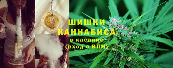 ГАЛЛЮЦИНОГЕННЫЕ ГРИБЫ Богородск