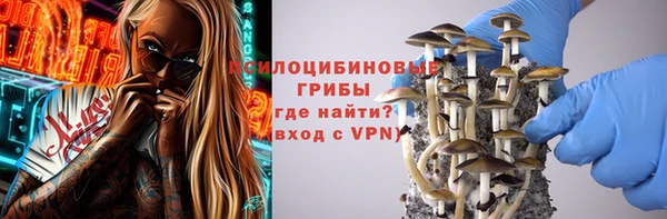 ГАЛЛЮЦИНОГЕННЫЕ ГРИБЫ Богородск