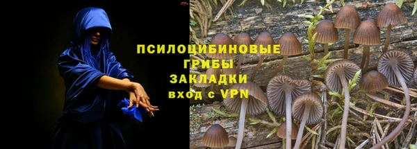 ГАЛЛЮЦИНОГЕННЫЕ ГРИБЫ Богородск